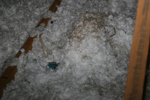 IMG_1519, Unit G Urine.JPG